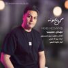 مهدی مسیب